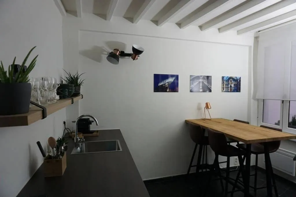 Rustig Gelegen Woning Op Toplocatie In Antwerpen Centrum Holiday home Antwerp